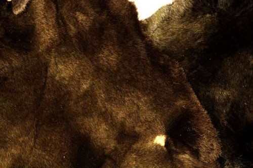 Mole Skin Dyed & Tanned